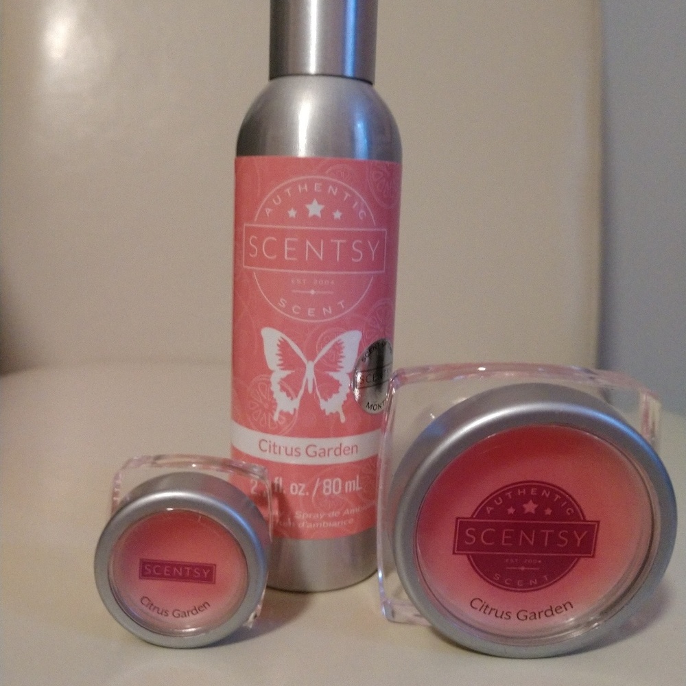 Scentsy room spray and sample wax melts.